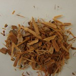 Catuaba (Erytroxylum catuaba) Catuaba (Erytroxylum catuaba)