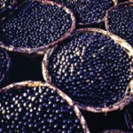 Acai - superbäret Acai - superbäret